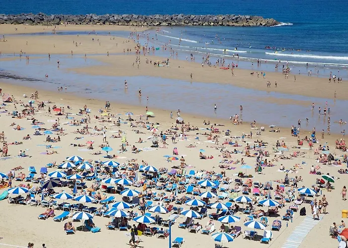 Always Easy I Larroca